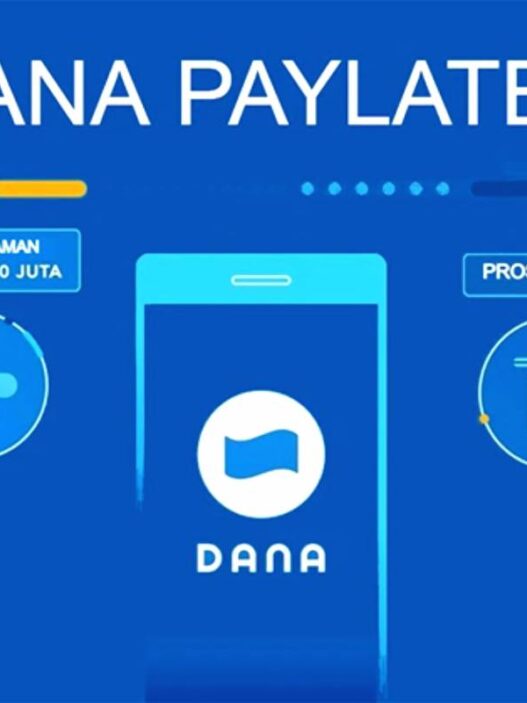 Penyebab utama layanan dana paylater tidak muncul seringkali berkaitan dengan tahap pengembangan sistem dan kebijakan selektif dari pihak dana