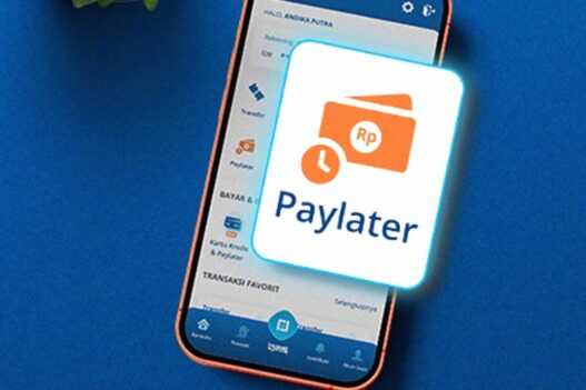 Rekomendasi paylater bunga ringan