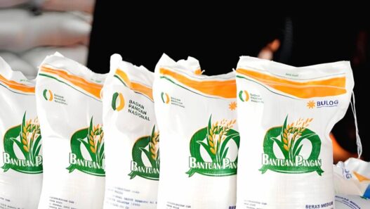 Bansos berask 10 kg mulai disalurkan oktober 2025 siapa saja yang berhak menerima ini cara ceknya (1)