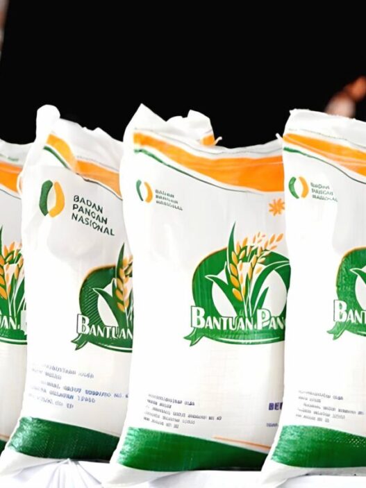 Bansos berask 10 kg mulai disalurkan oktober 2025 siapa saja yang berhak menerima ini cara ceknya (1)