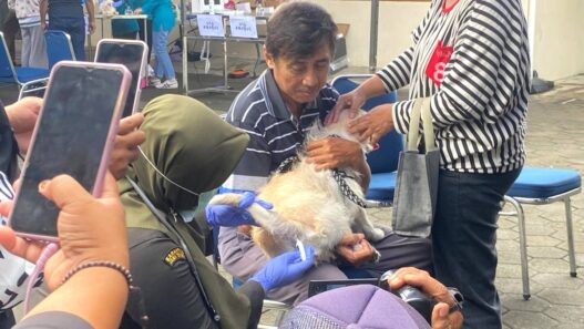 Baru 10 persen anjing tervaksin rabies