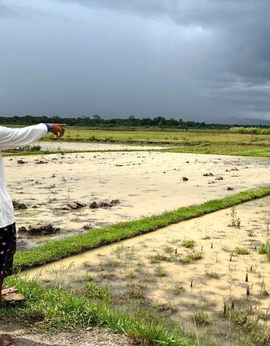 Ditinggal di sawah, mesin traktor poktan raib