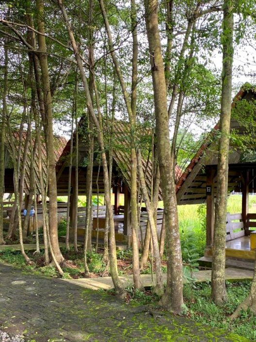 Godhong ijo warung makan bernuansa alam