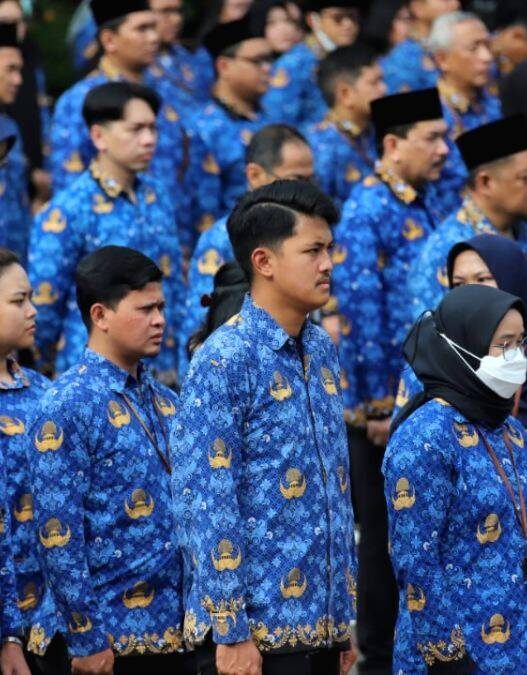Istilah pns pusat dan daerah resmi dihapus simak info terbarunya