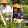 Lahan tidur disulap jadi sumber ekonomi