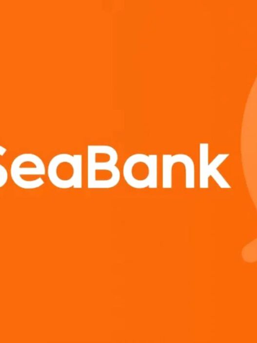 Layanan seabank pinjam sebagai solusi finansial digital yang mudah dan cepat