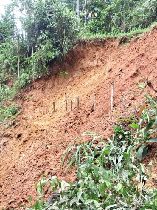 Petugas BPBD Banyumas memantau kondisi tebing yang longsor di wilayah Pekuncen.