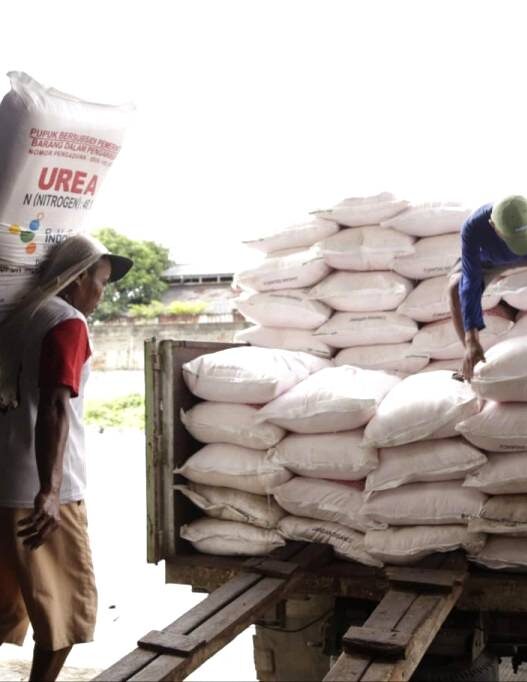 Mentan cabut izin 190 distributor pupuk