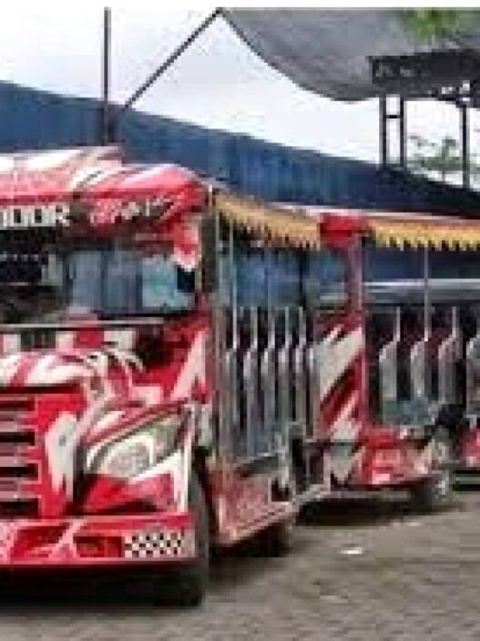 Odong odong dilarang beroperasi di jalan raya