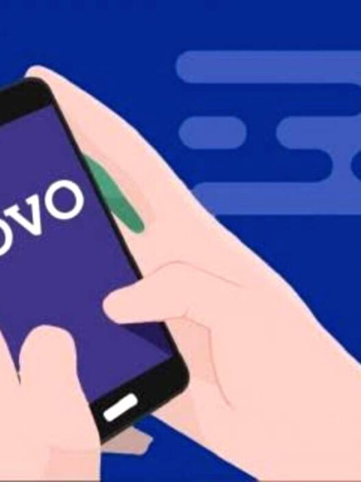 Ovo paylater