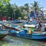 Panen raya udang di perairan cilacap