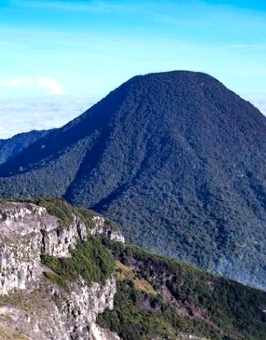 Pendakian gunung gede pangrango ditutup