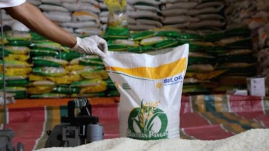 Pengecekan jadwal serta penerima bansos beras dan minyak goreng bisa dilakukan online