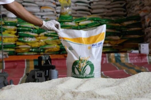 Pengecekan jadwal serta penerima bansos beras dan minyak goreng bisa dilakukan online