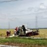Petani sawah tadah hujan tunda tanam