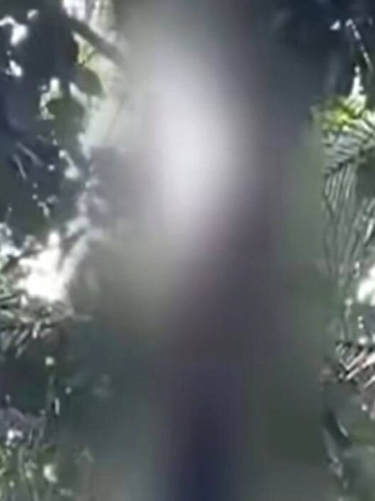Pria warga baleraksa karangmoncol nekat gantung diri di sawah