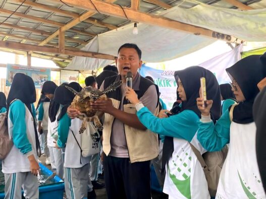 Rela patroli puluhan kilometer demi penyu