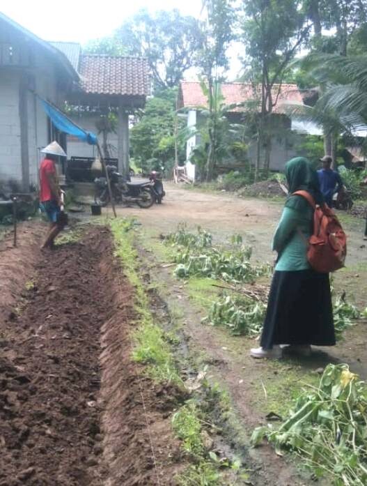 Sulit cari petani muda cabai rawit