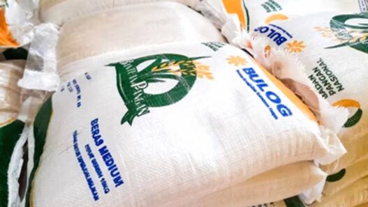Bansos beras 20 kg