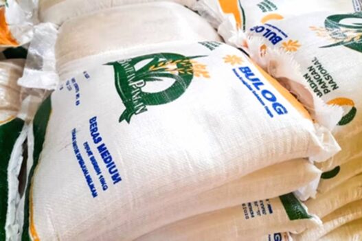 Bansos beras 20 kg