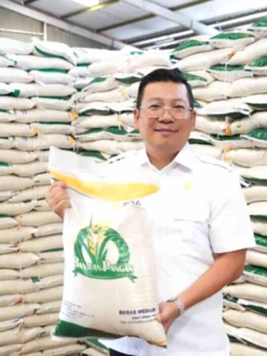 Pengecekan status penerima bansos beras dapat dilakukan secara daring melalui laman resmi Cek Bansos milik Kementerian Sosial