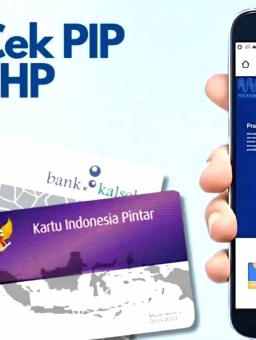 Cek PIP November