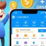 Dana app dashboard