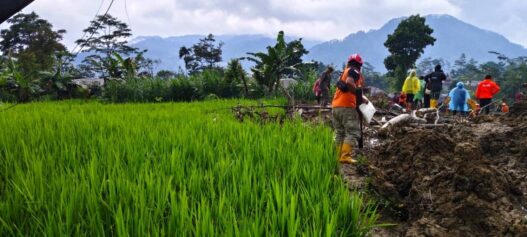 Dua Hari Pencarian Korban Longsor Situkung Nihil