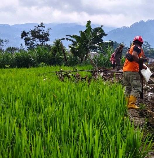 Dua Hari Pencarian Korban Longsor Situkung Nihil