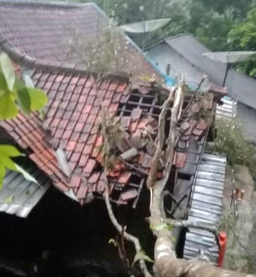 Dua Rumah Warga Sadang Rusak Tertimpa Pohon