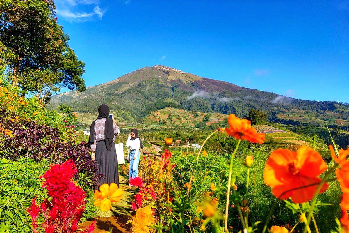 Keindahan spot foto di wisata alam silancur highland magelang