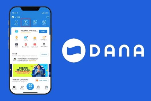 Kerjakan Tugas di Aplikasi Toloka untuk Dapat Saldo DANA Tambahan