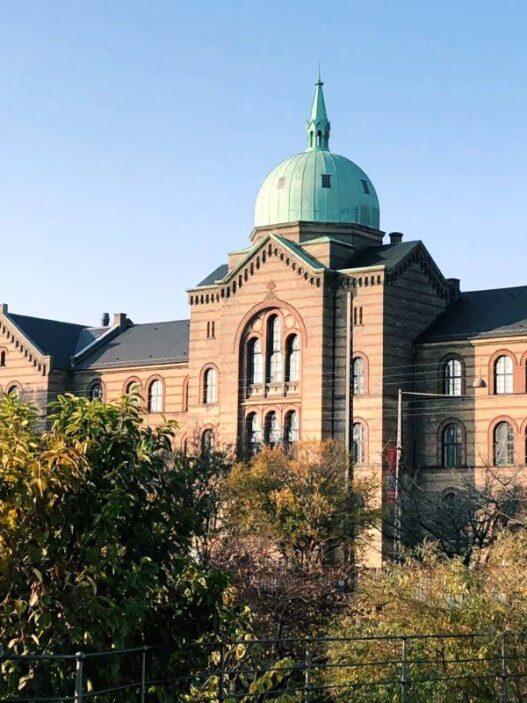 Kesempatan S2 di Denmark Melalui Beasiswa Danish Government Scholarship