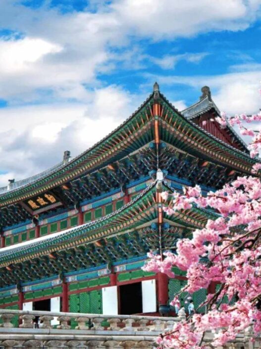 KOICA Scholarship Program Tawarkan Beasiswa Fully Funded ke Korea Selatan