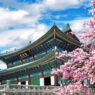 KOICA Scholarship Program Tawarkan Beasiswa Fully Funded ke Korea Selatan