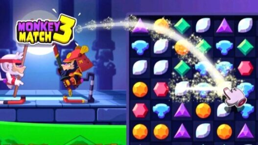 Monkey match