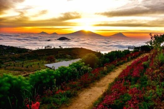 Nikmati wisata alam di kaki gunung sumbing silancur highland