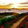 Nikmati wisata alam di kaki gunung sumbing silancur highland