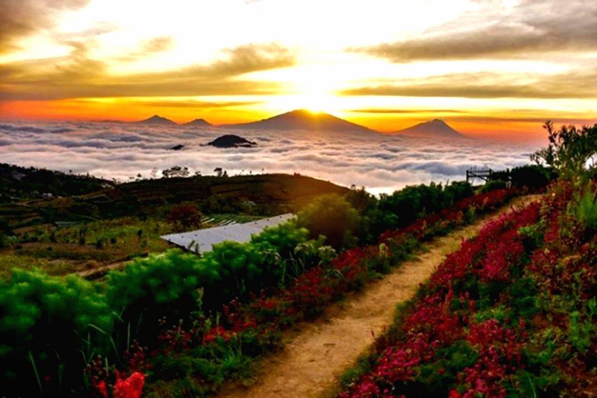 Nikmati wisata alam di kaki gunung sumbing silancur highland