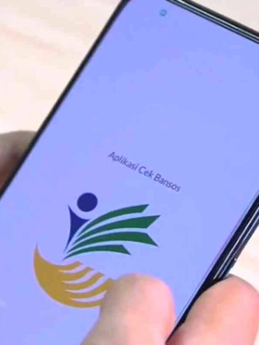 Masyarakat dapat mengecek status penyaluran melalui situs resmi atau aplikasi khusus yang disediakan pemerintah untuk mempermudah pencarian data