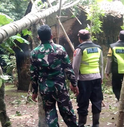 Pohon Tumbang Timpa Atap Warga Buluspesantren