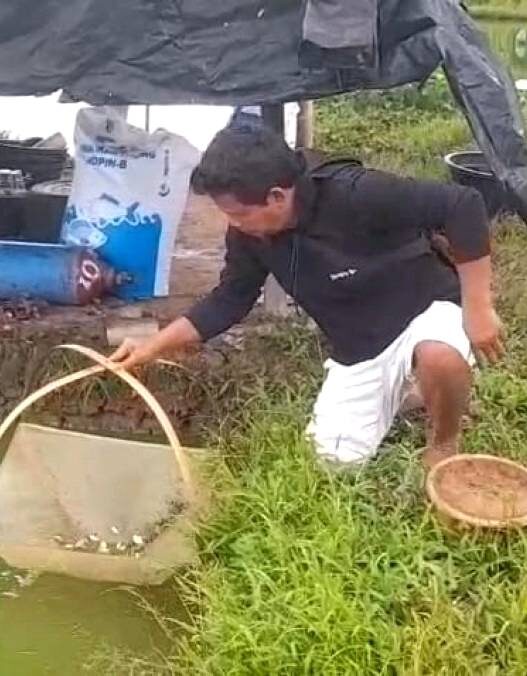 Pulang untuk Menumbuhkan Harapan yang Mengalir dari Dasar Kolam