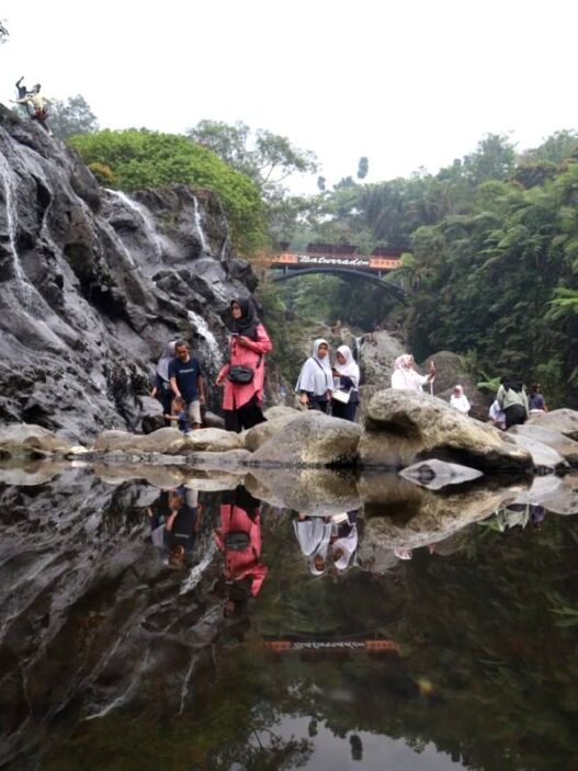 Taman safari jajaki kerja sama kelola baturraden
