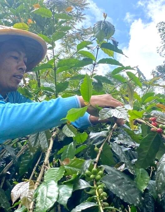 Ubah lereng longsor jadi lahan produktif