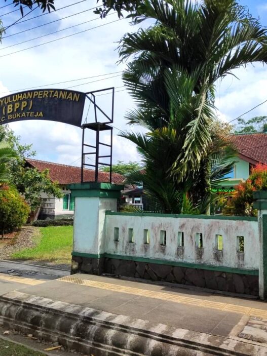 149 Penyuluh Pertanian Ditarik ke Kementan