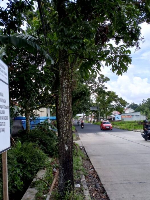 Alus Dalane Tuntas 100 Persen