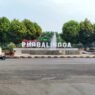 Bibit Pohon Gantikan Karangan Bunga