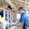 Cilacap Swasembada Hewan Ternak