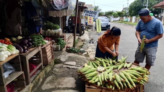Diburu Warga untuk Tahun Baru
