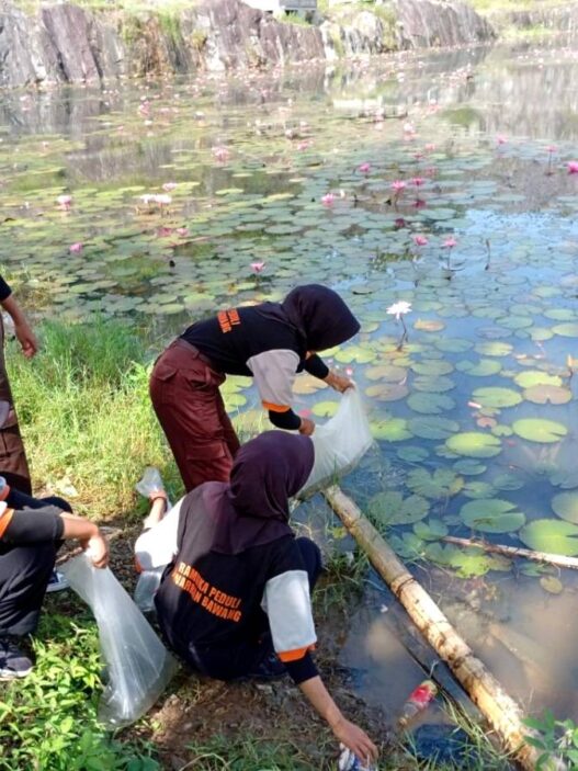 Dua Ribu Benih Ikan Nila Ditebar